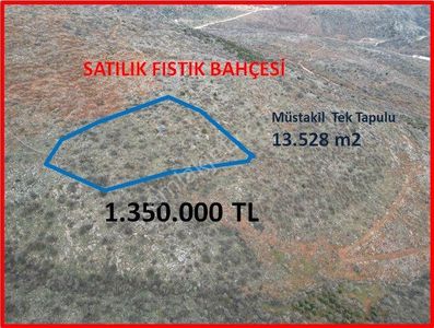 Arsa-Tarla
