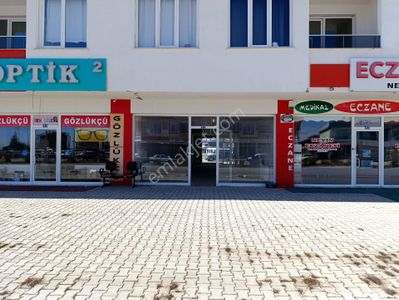 İşyeri-Dükkan & Mağaza