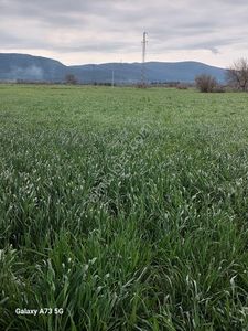 Arsa-Tarla