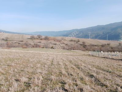 Arsa-Tarla