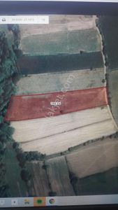 Arsa-Tarla