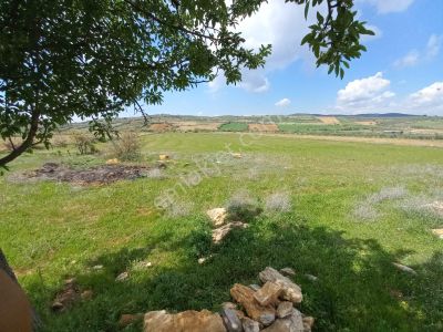 Arsa-Tarla