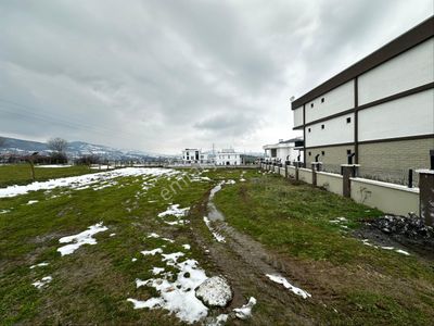 Arsa-Villa İmarlı