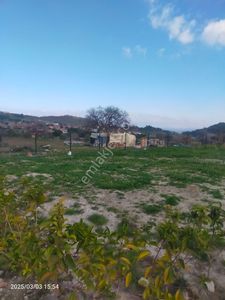 Arsa-Tarla