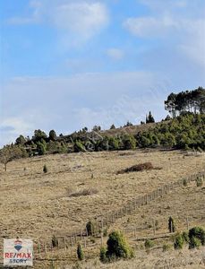 Arsa-Tarla