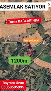Arsa-Bağ & Bahçe