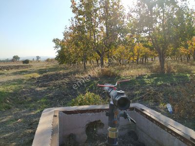 Arsa-Bağ & Bahçe