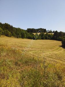 Arsa-Tarla
