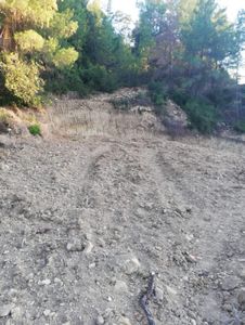 Arsa-Tarla