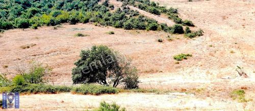 Arsa-Tarla