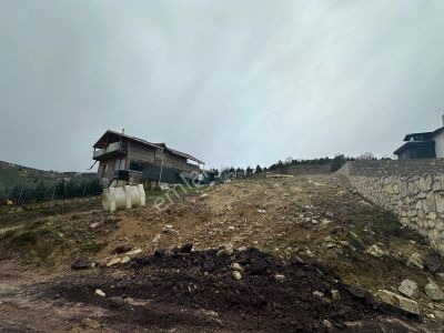 Arsa-Arazi