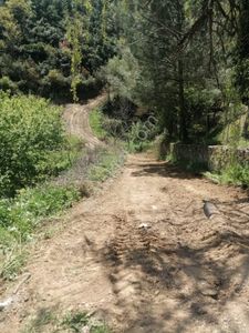 Arsa-Bağ & Bahçe