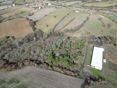 Arsa-Tarla