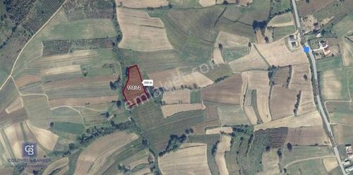 Arsa-Tarla