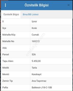 Arsa-Zeytinlik