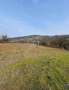 Arsa-Tarla
