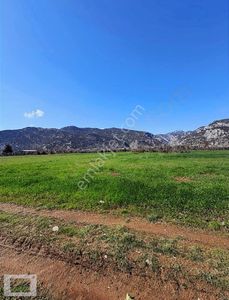 Arsa-Tarla