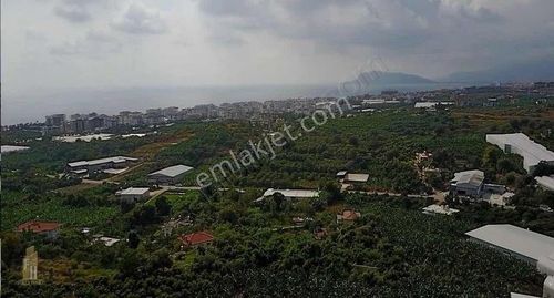 Arsa-Ticari İmarlı