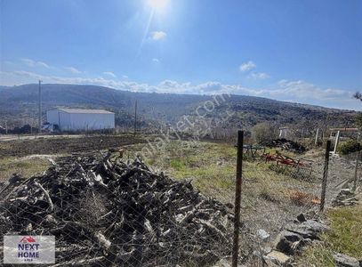 Arsa-Konut İmarlı