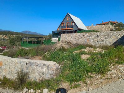 Arsa-Tarla
