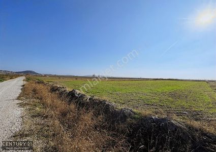 Arsa-Tarla