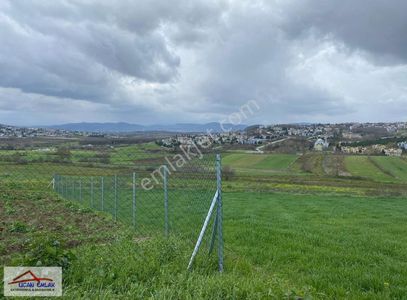 Arsa-Tarla