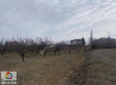 Arsa-Konut İmarlı