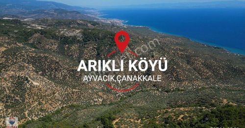 Arsa-Zeytinlik