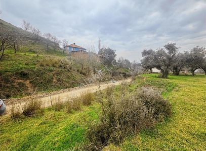 Arsa-Konut İmarlı
