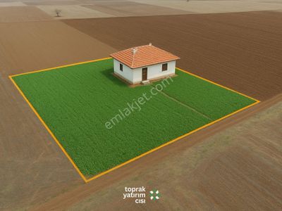 Arsa-Tarla
