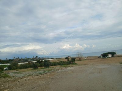 Arsa-Konut İmarlı