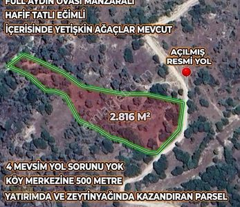 Arsa-Zeytinlik