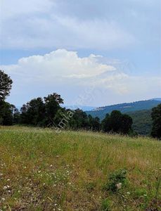 Arsa-Tarla