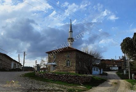 Arsa-Bağ & Bahçe