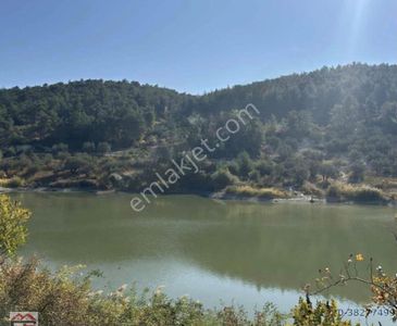 Arsa-Zeytinlik