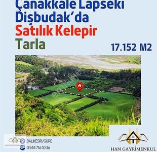 Arsa-Tarla