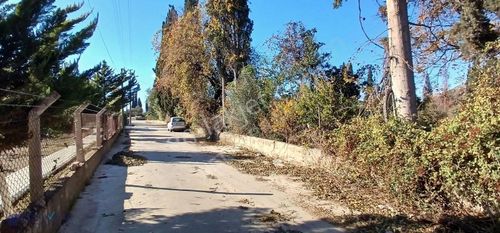 Arsa-Bağ & Bahçe
