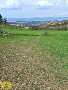 Arsa-Tarla