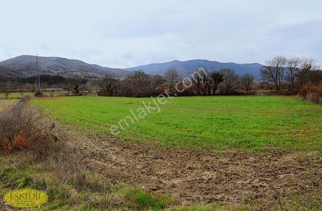 Arsa-Tarla