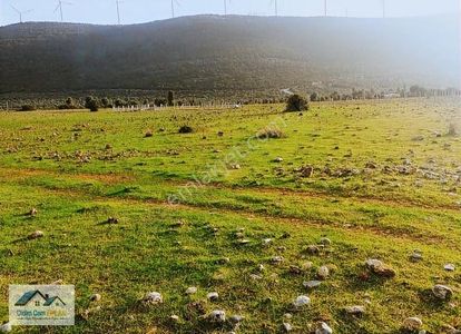 Arsa-Konut İmarlı