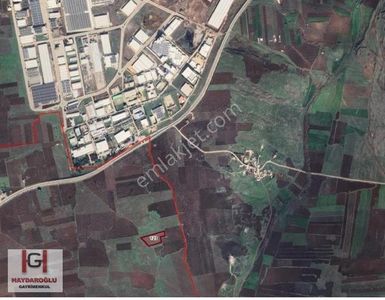 Arsa-Bağ & Bahçe
