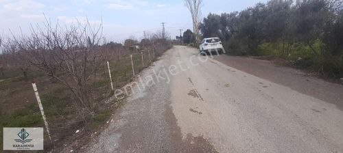 Arsa-Bağ & Bahçe