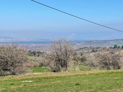 Arsa-Tarla