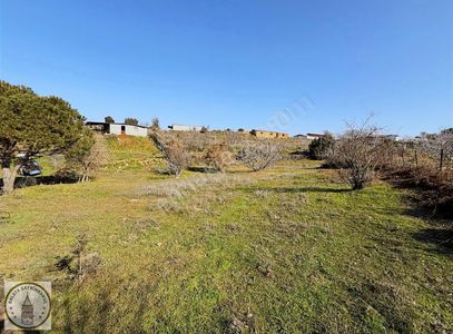 Arsa-Konut İmarlı