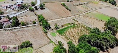 Arsa-Tarla