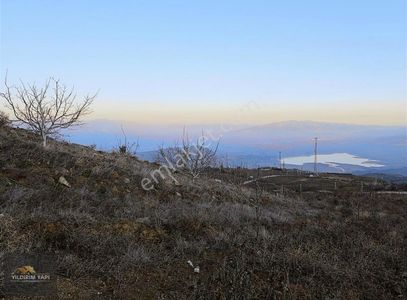 Arsa-Bağ & Bahçe