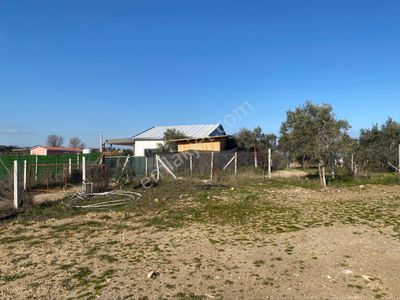 Arsa-Tarla