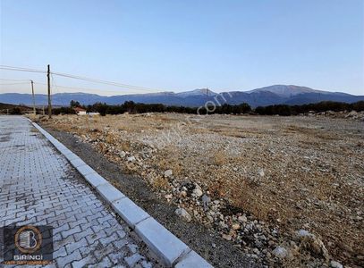 Arsa-Konut İmarlı