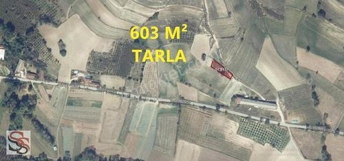 Arsa-Tarla