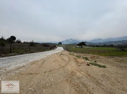Arsa-Bağ & Bahçe